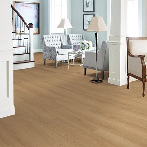 Willow Oak 12